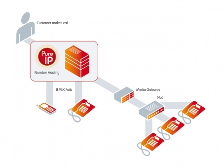 Pure IP information graphic