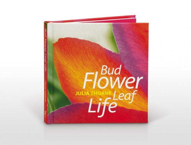 Bud Flower Leaf Life book cover