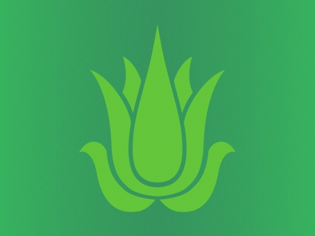 Nature’s Beauty aloe vera range icon